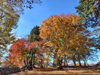 「ウタぇもん」さんからの投稿写真