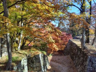 「ウタぇもん」さんからの投稿写真