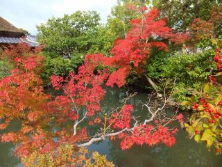 「楽々」さんからの投稿写真@名勝 依水園