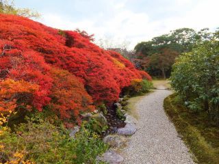「楽々」さんからの投稿写真