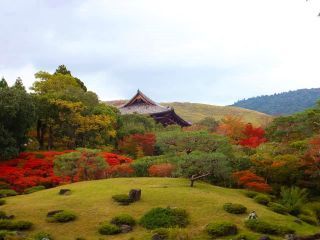 「楽々」さんからの投稿写真