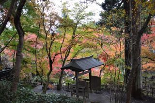 「めばるぱぱ」さんからの投稿写真