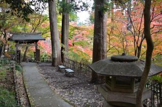 「めばるぱぱ」さんからの投稿写真