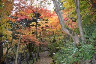 「めばるぱぱ」さんからの投稿写真