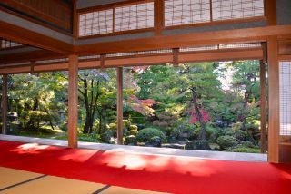 「メバル　パパ」さんからの投稿写真＠北方文化博物館