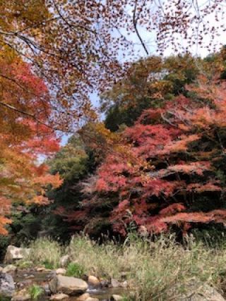 「頭文字Ｅ」さんからの投稿写真＠豪渓