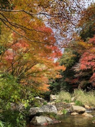 「頭文字Ｅ」さんからの投稿写真＠豪渓