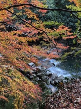 「頭文字Ｅ」さんからの投稿写真＠豪渓