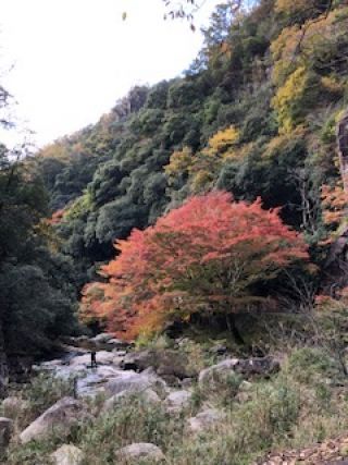 「頭文字Ｅ」さんからの投稿写真＠豪渓