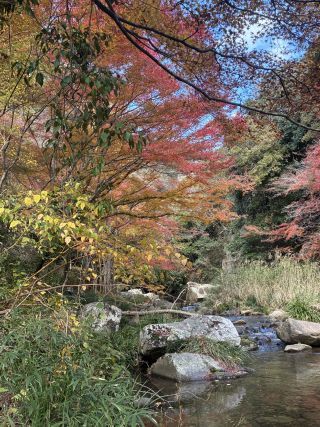 「頭文字E」さんからの投稿写真＠豪渓