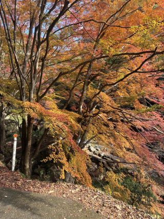 「頭文字E」さんからの投稿写真＠豪渓