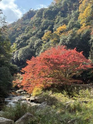 「頭文字E」さんからの投稿写真
