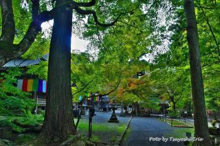 「ツヨポン」さんからの投稿写真