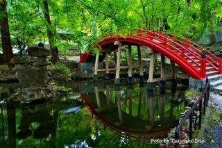 「ツヨポン」さんからの投稿写真