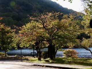 「栃木の山ちゃん」さんからの投稿写真＠湯ノ湖