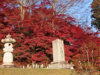 「栃木の山ちゃん」さんからの投稿写真