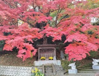 「うり爺」さんからの投稿写真＠永源寺