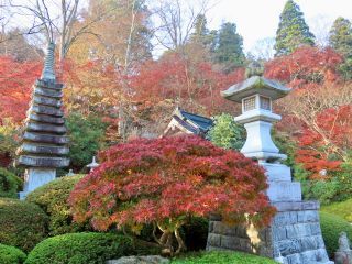 「栃木の山ちゃん」さんからの投稿写真