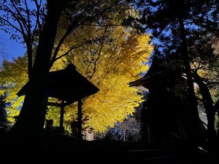 「みりん」さんからの投稿写真