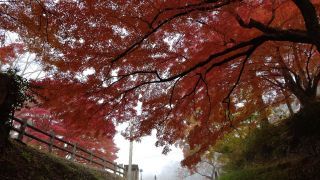 「キルア」さんからの投稿写真＠赤湯烏帽子山公園