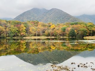 「ユキ」さんからの投稿写真