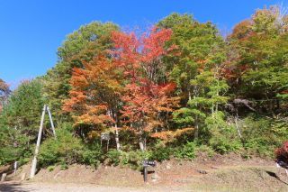 「栃木の山ちゃん」さんからの投稿写真