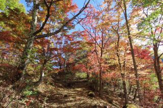 「栃木の山ちゃん」さんからの投稿写真