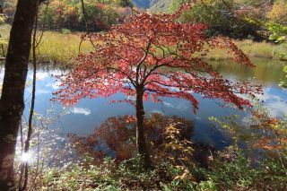 「栃木の山ちゃん」さんからの投稿写真