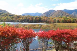 「栃木の山ちゃん」さんからの投稿写真