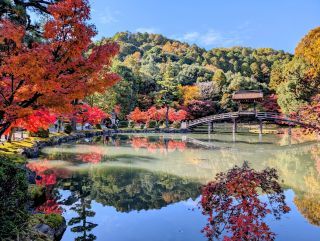 「ぬのさん」さんからの投稿写真