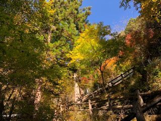 「naochikan」さんからの投稿写真