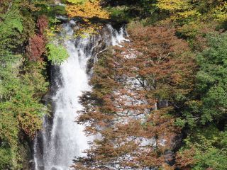 「栃木の山ちゃん」さんからの投稿写真