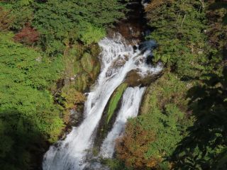 「栃木の山ちゃん」さんからの投稿写真