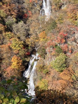 「こゆき」さんからの投稿写真