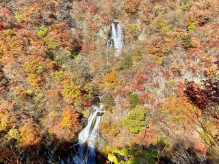 「栃木の山ちゃん」さんからの投稿写真