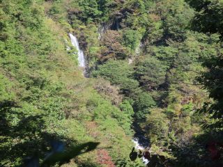 「栃木の山ちゃん」さんからの投稿写真