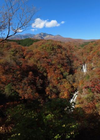 「栃木の山ちゃん」さんからの投稿写真