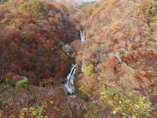 「栃木の山ちゃん」さんからの投稿写真