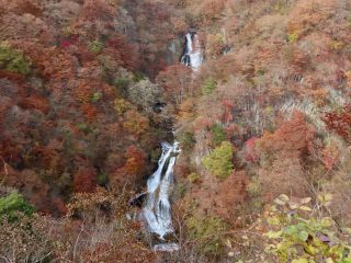 「栃木の山ちゃん」さんからの投稿写真