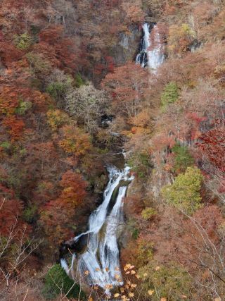 「栃木の山ちゃん」さんからの投稿写真