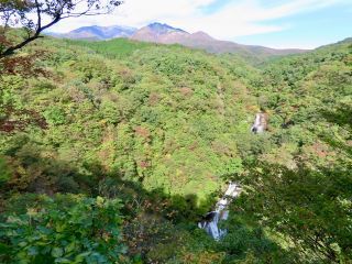 「栃木の山ちゃん」さんからの投稿写真