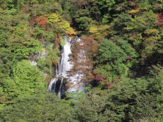 「栃木の山ちゃん」さんからの投稿写真