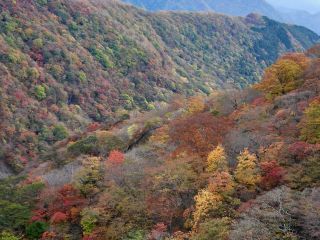 「栃木の山ちゃん」さんからの投稿写真＠六方沢