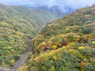 「栃木の山ちゃん」さんからの投稿写真