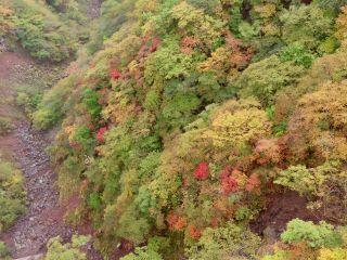 「栃木の山ちゃん」さんからの投稿写真