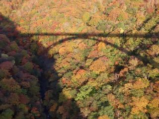 「栃木の山ちゃん」さんからの投稿写真