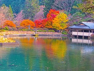 「ウッタン」さんからの投稿写真