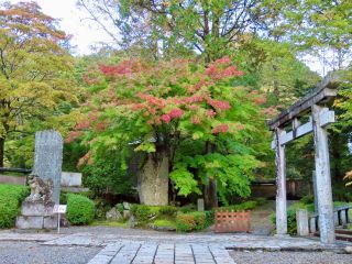 「栃木の山ちゃん」さんからの投稿写真