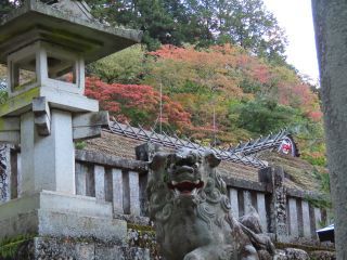 「栃木の山ちゃん」さんからの投稿写真