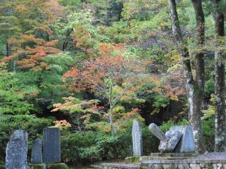 「栃木の山ちゃん」さんからの投稿写真